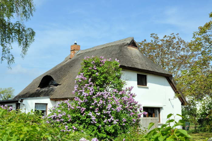 HS_Haus ostseite